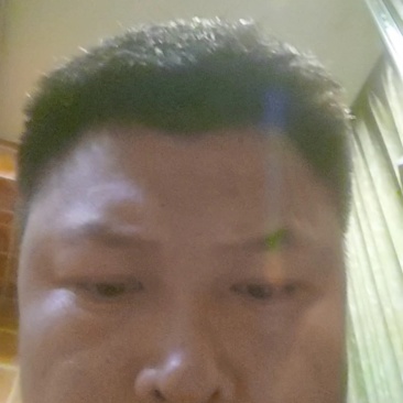 芍药花赤芍有两亩地左右的货