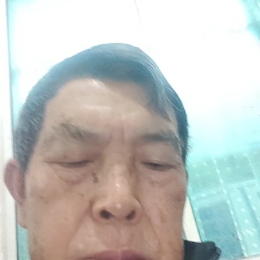 李子（椎李）脱骨李，脆李，果大味甜，含糖量高。