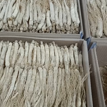 长白山红参，保质保量***，一手货源产地发货