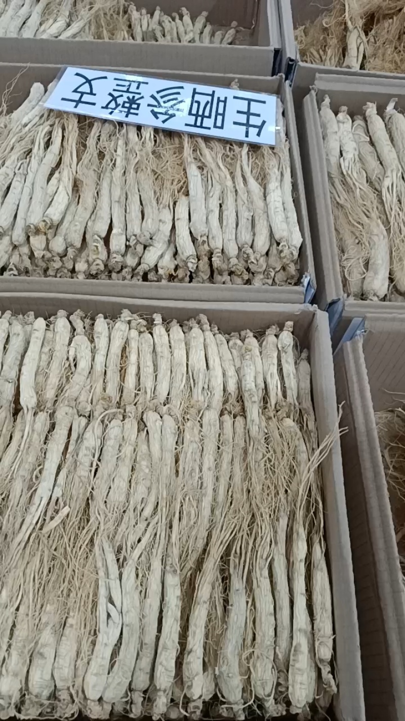 长白山红参，保质保量***，一手货源产地发货
