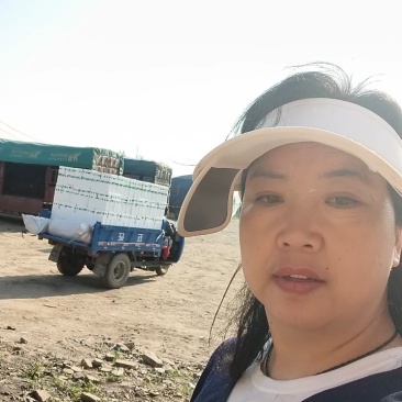 夏邑密刺黄瓜基地供货可视频看货对接超市电商全国发货