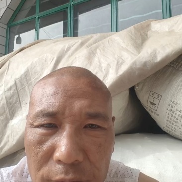土大黄，切片通货，产地直销，价格优美，货源充足