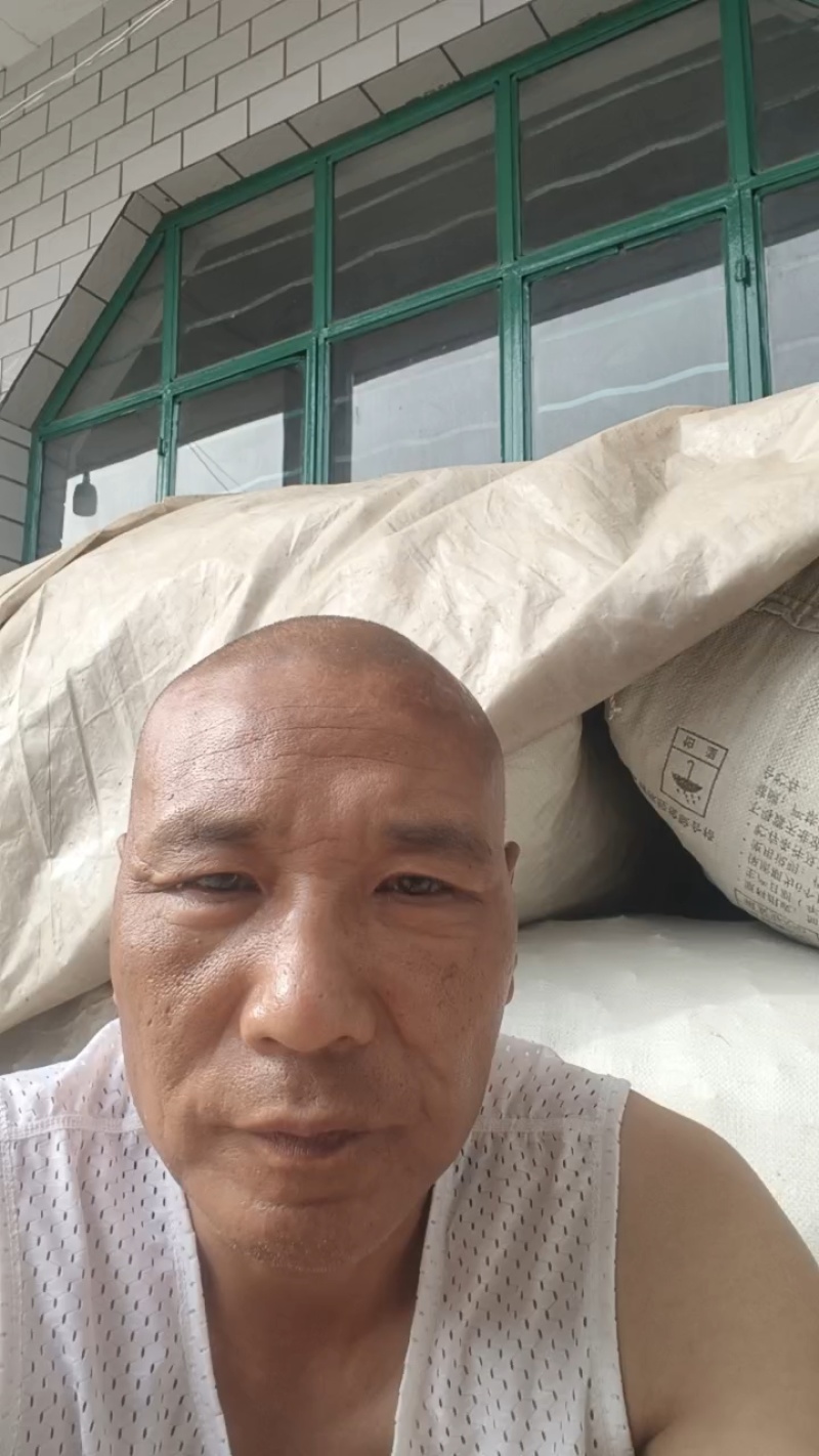 土大黄，切片通货，产地直销，价格优美，货源充足