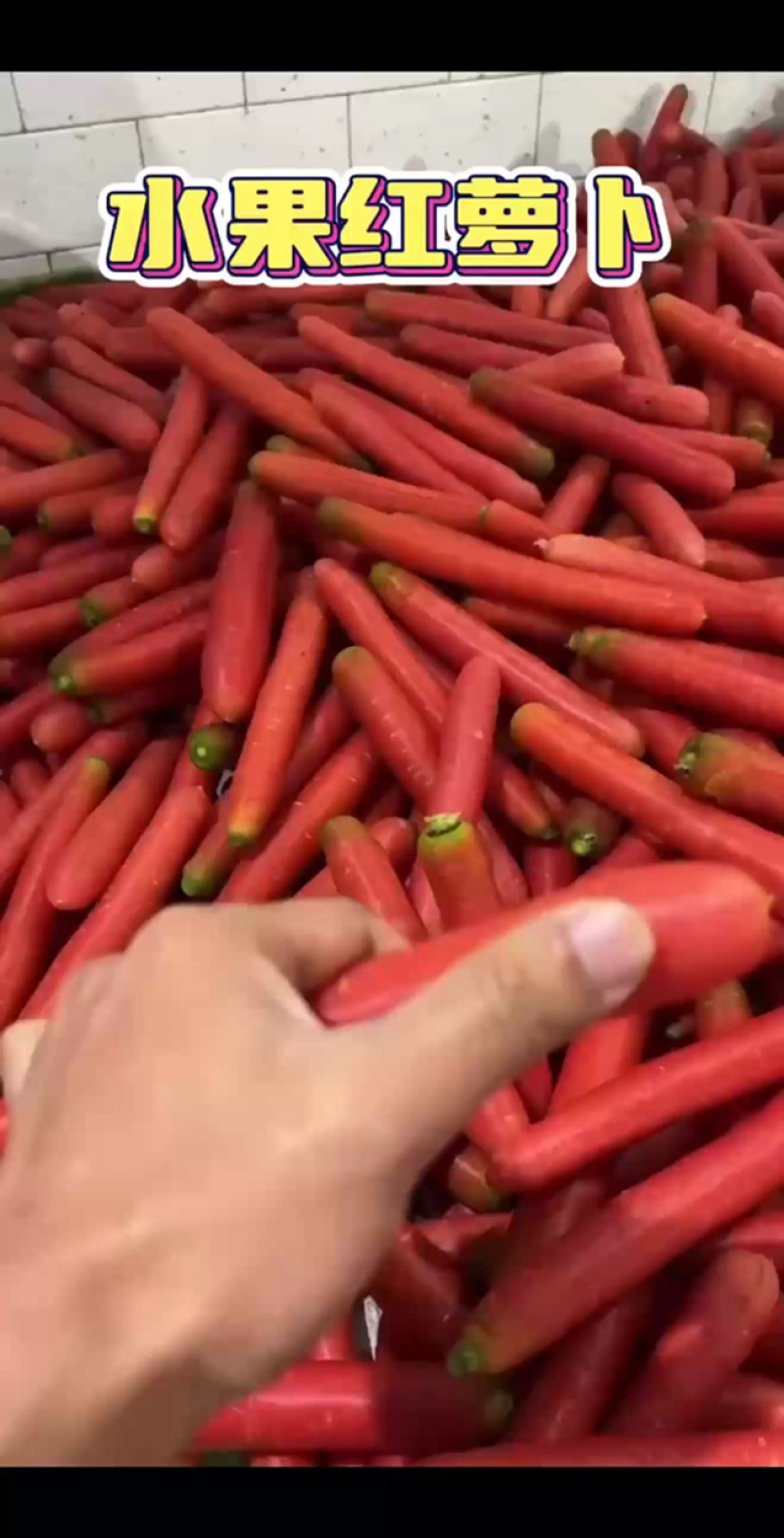 水果红罗卜精品上市供应充足规格齐全色泽红口感佳产地直销