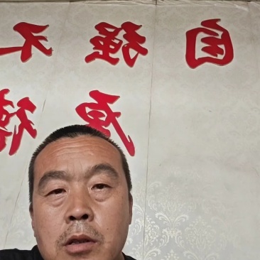 采用精品红橙/橙子干/橙子干片/干果源头厂家一手货源