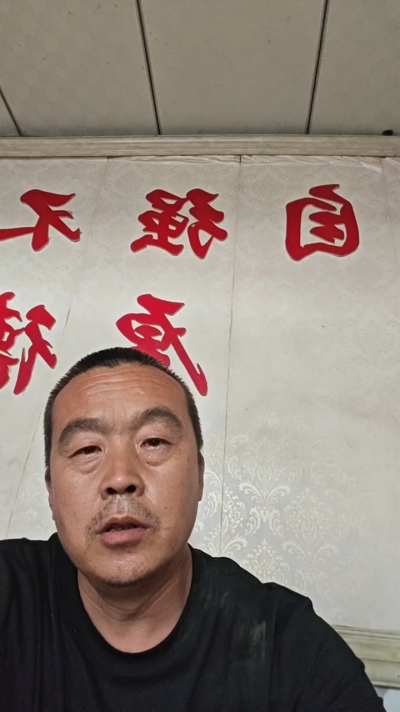 采用精品红橙/橙子干/橙子干片/干果源头厂家一手货源