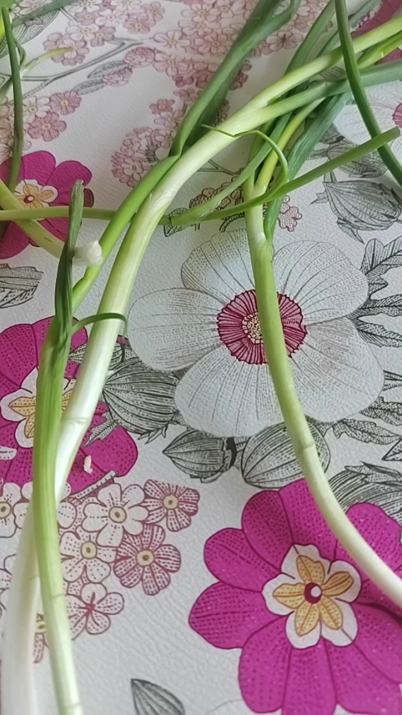 优质香葱