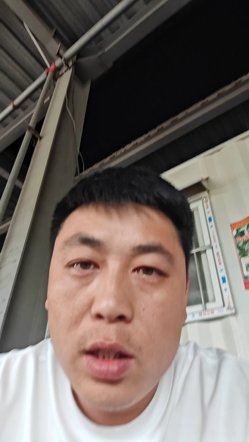 博洋61甜瓜，基地现摘现发，代收代发全国各地批发市场电商