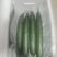 青翠黄瓜基地直发品质保障诚信经营全国发货