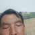 蜂糖李树苗，正宗蜂糖李，早熟品种，端午节成熟，晚熟七份。