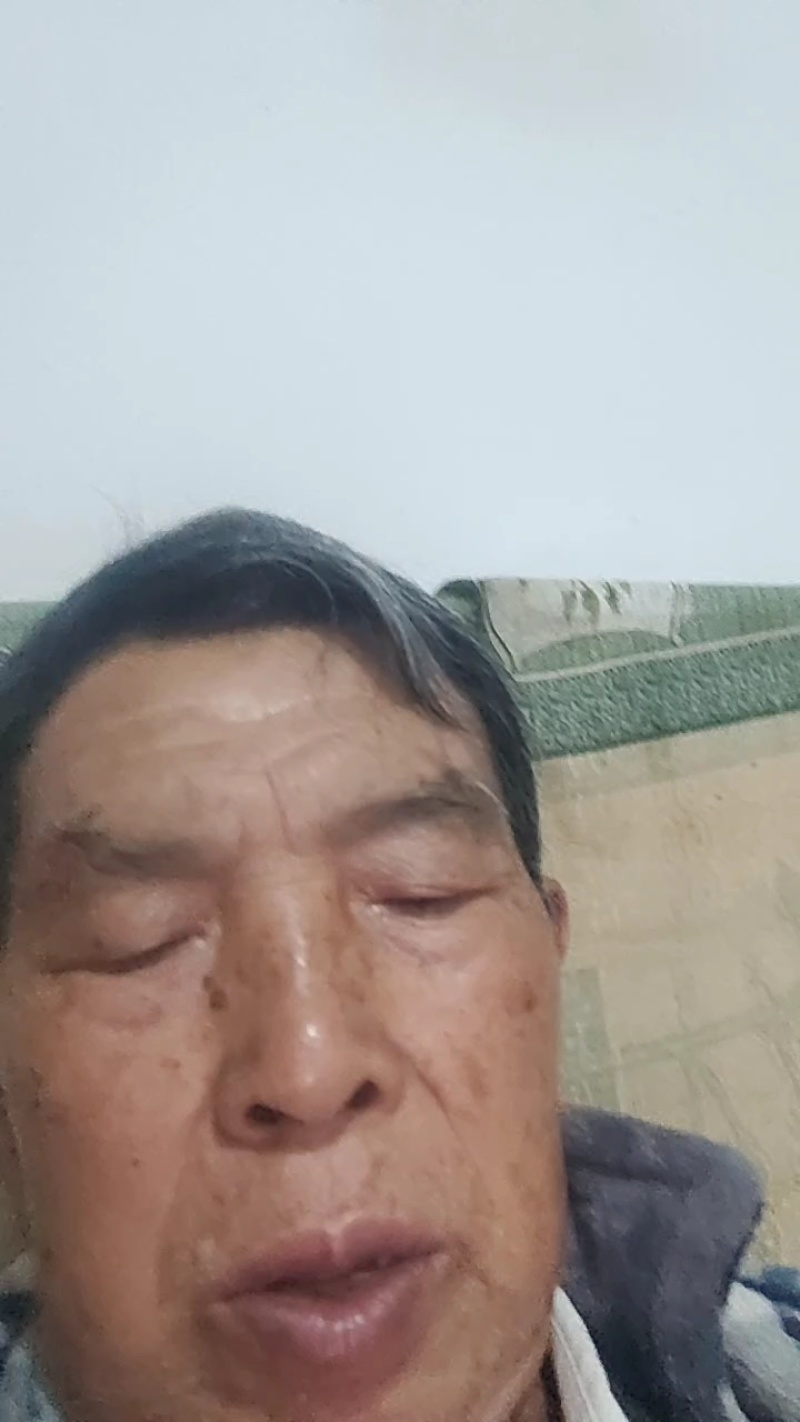 蜂糖李树苗，正宗蜂糖李，早熟品种，端午节成熟，晚熟七份。