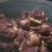 驴肉