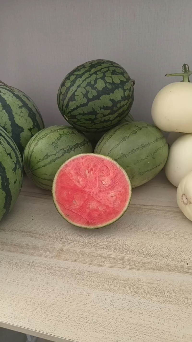 早春红玉小糖丸手撕西瓜市场电商商超产地直发