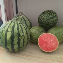 美都西瓜/无籽美都产地直发货源充足商超电商市场供货