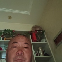 甘肃黄心娃娃菜品质保证对接各类客户欢迎仔细