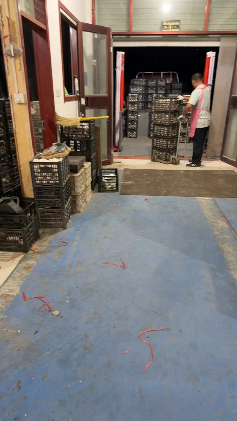 白蛋白鸭蛋鲜蛋厂家直供品质保证全国发货欢迎联系
