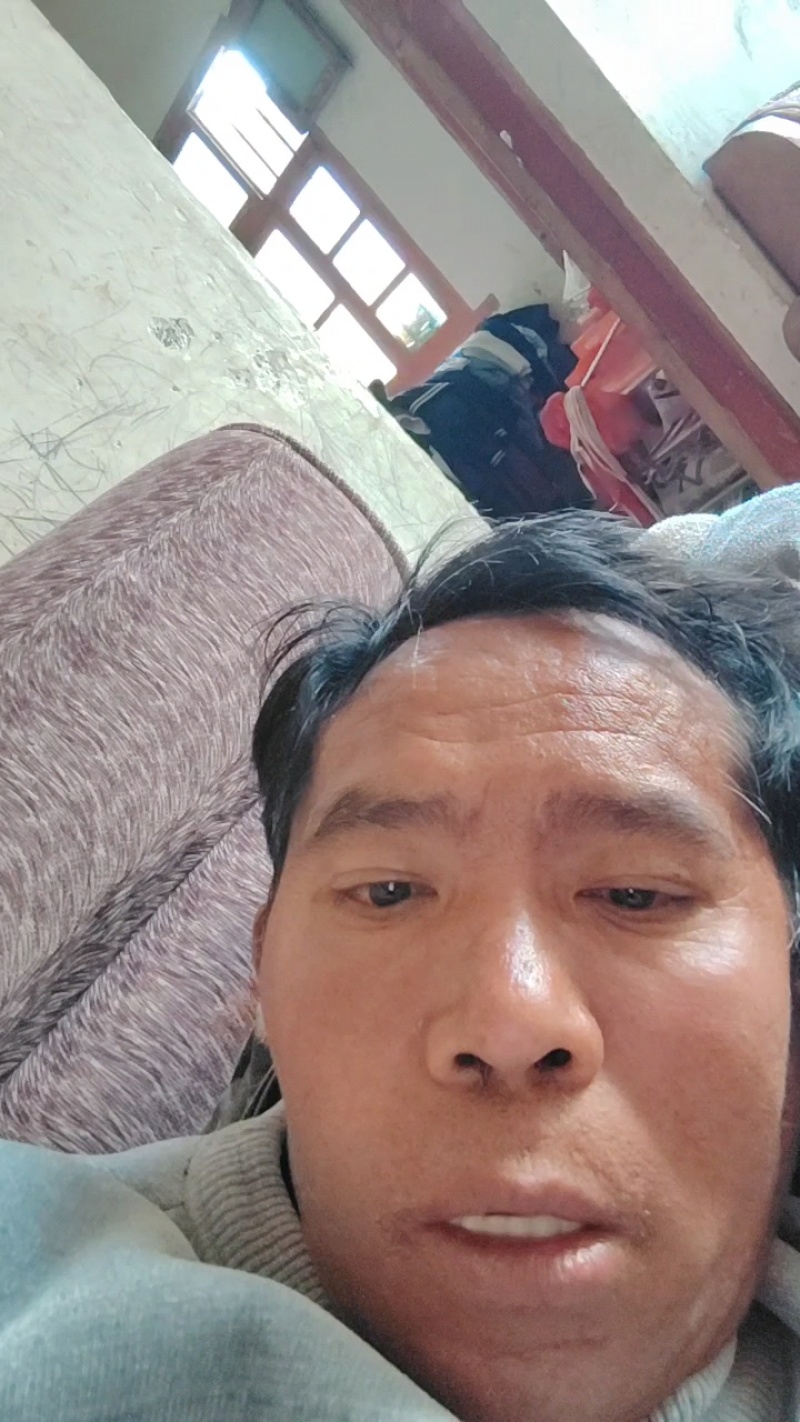 青菜苔精品菜苔菜苔产地直发量大从优可视频看货对接全国