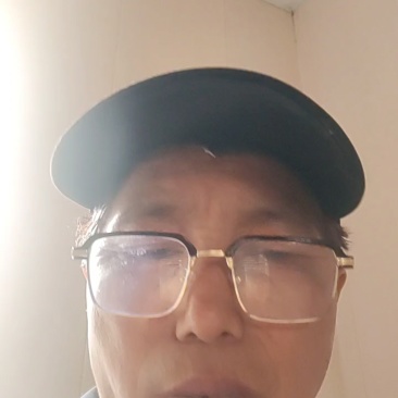 羊肚菌种，一级试管种，高产田选育种菇分离，活性强，产量高