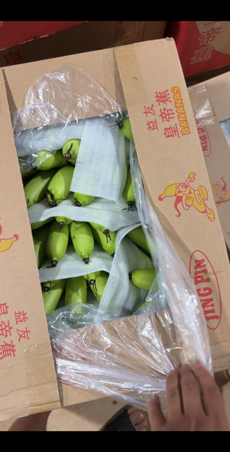 靓货开箱，品质漂亮，多规格可选
