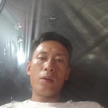江苏精品生菜，意大利生菜，大颗生菜，货源充足基地发货