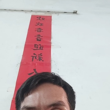 湖南沃柑味美多汁专业代收一条龙服务按需配货全国发