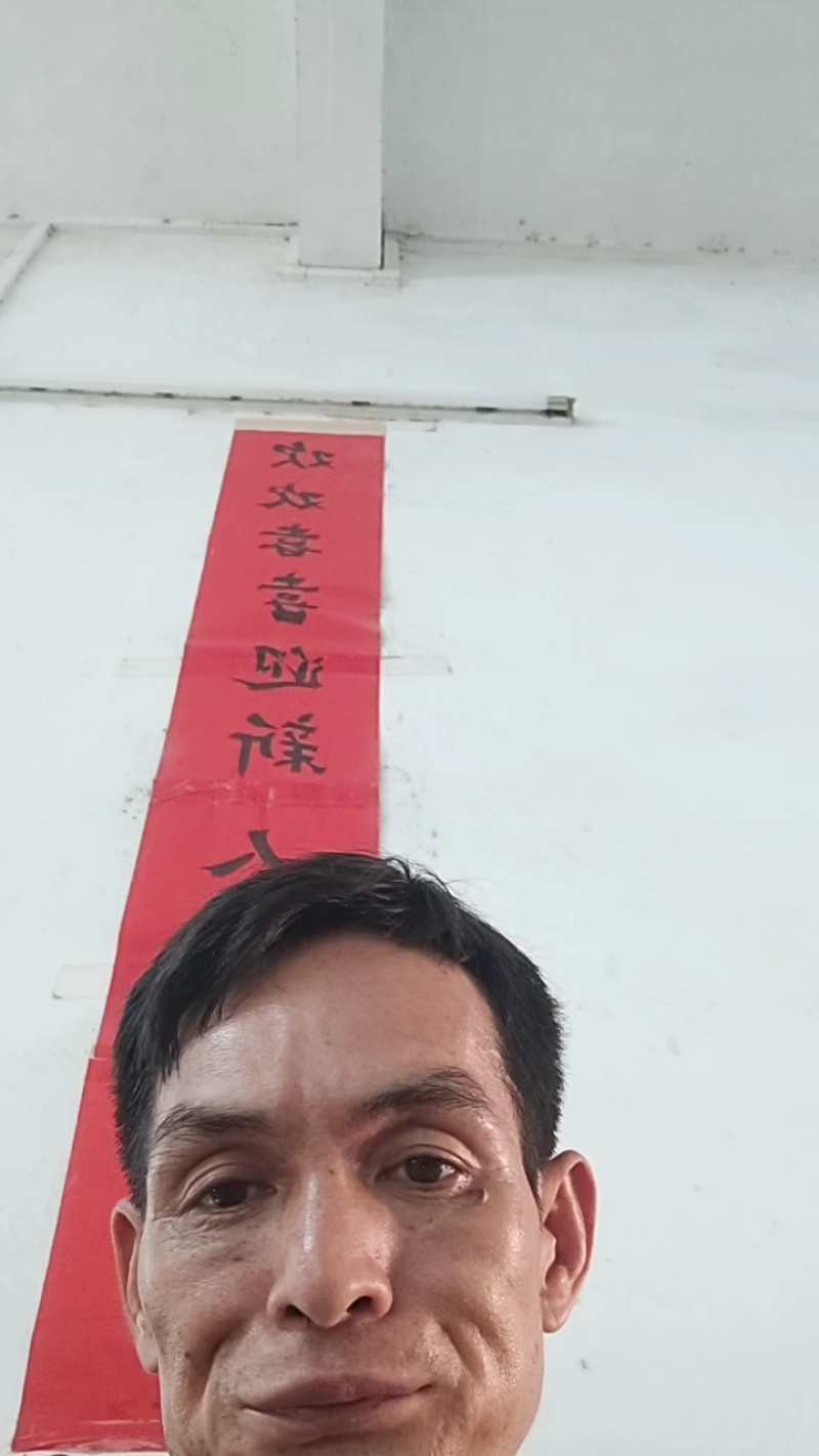 湖南沃柑味美多汁专业代收一条龙服务按需配货全国发