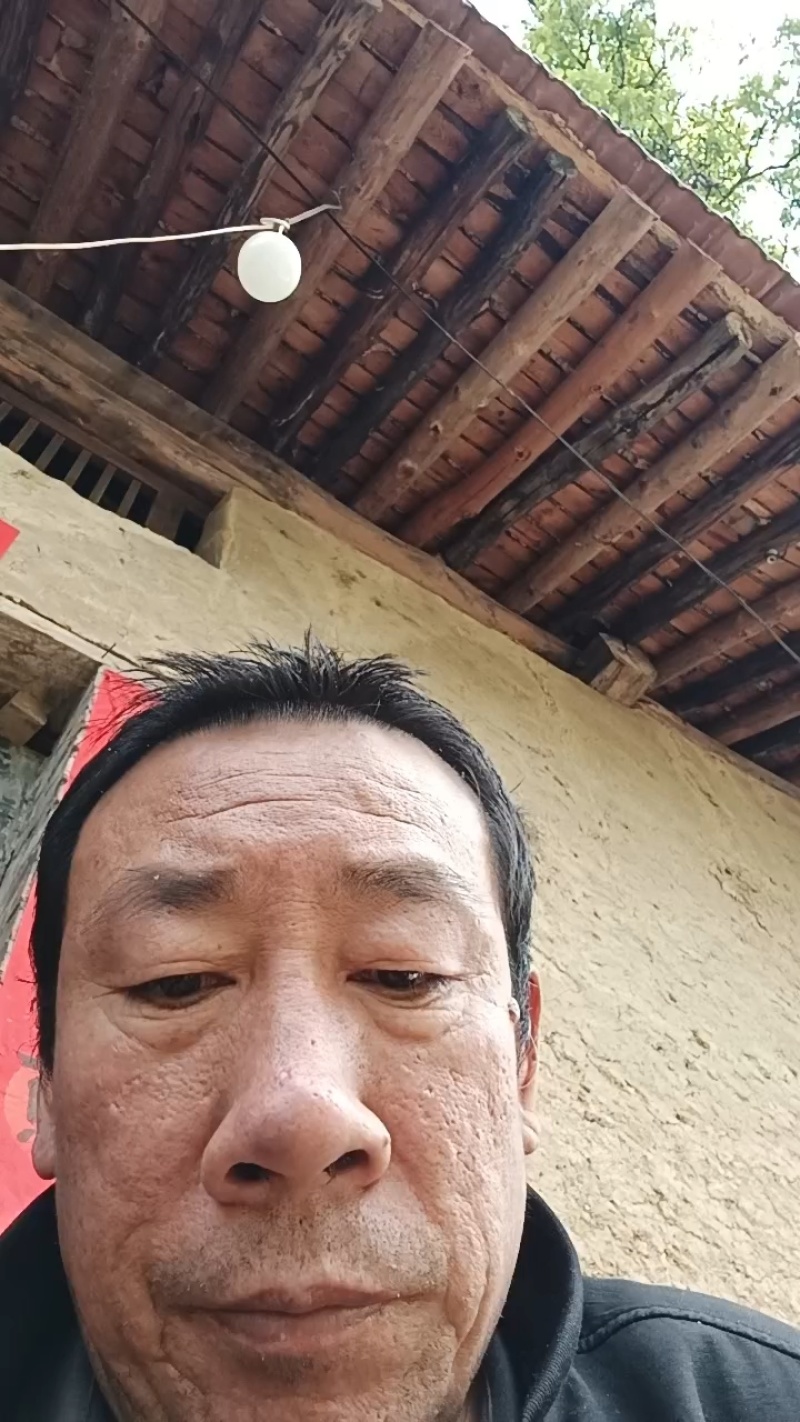 核桃仁原味