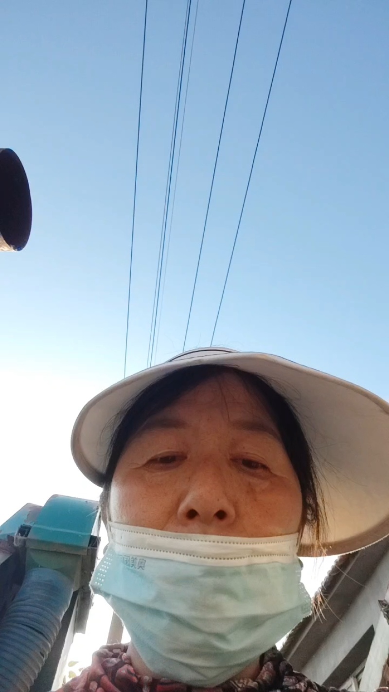 黑花生米，富含花青素等元素，口感特香，脆柔，’营养丰富，