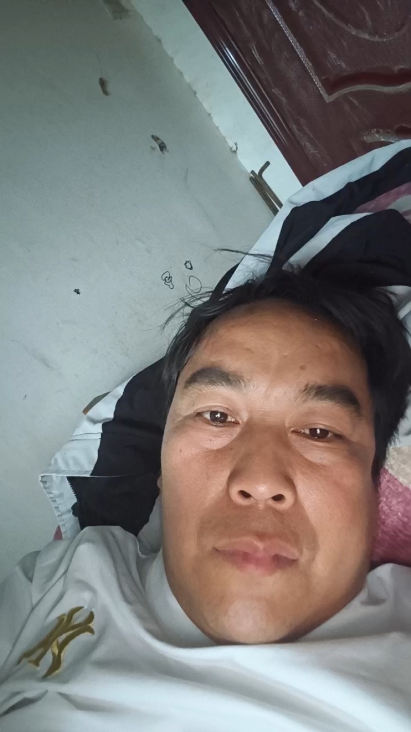 河北精品甘蓝颜色绿质量好，货源充足，保质保量