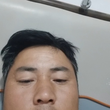 精品松花菜产地发货货源充足稳定，欢迎选购看货