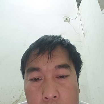 精品黄心土豆可供市场商超食堂需要的联系我