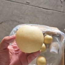 各种梨品类，欢迎老板咨询价格美丽