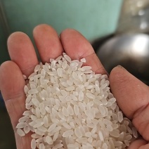 精品蟹田米产地直发对接电商市场商场可零售可批发