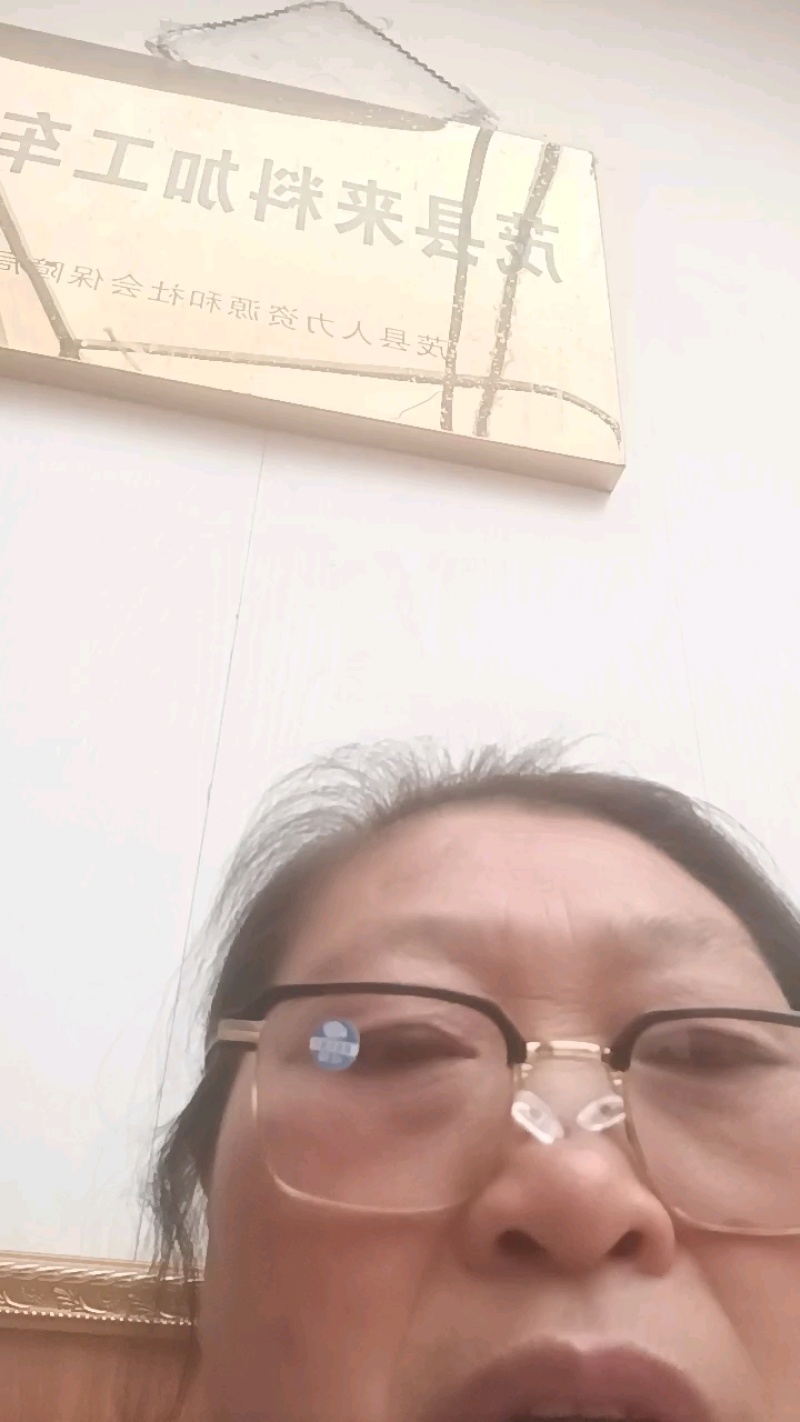 【产地直供】四川阿坝霜桑叶现货批发量大价优欢迎咨询