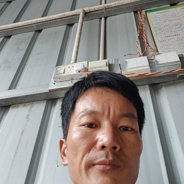 荔枝各品种齐全源头产区果园直发量大价优