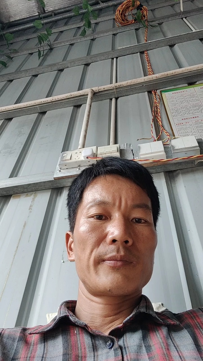 荔枝各品种齐全源头产区果园直发量大价优