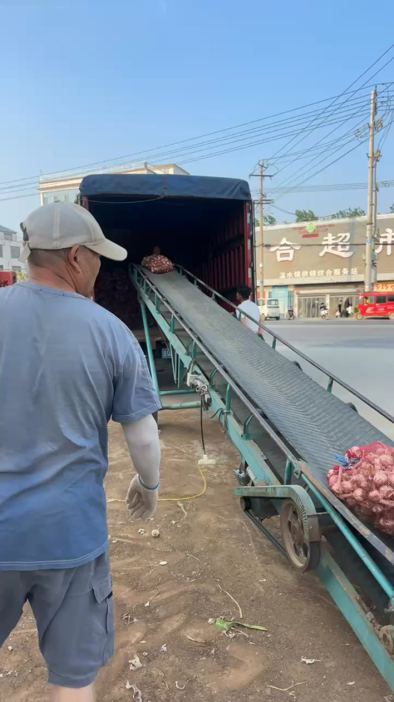 山东沂蒙山白皮大蒜大量上市产地直销大量供应货源充足