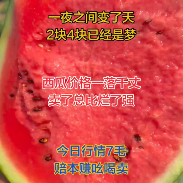【严选】甜王西瓜一手货源产地直发保质保量欢迎致电