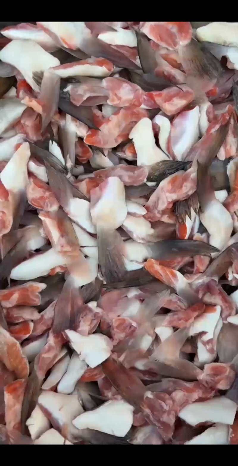 三文鱼鳍，三文鱼划水新鲜冷冻，烧烤，油炸，大量供应