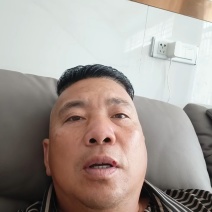 80至100公分长优质稻草诚信经营视频看货欢迎联系