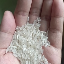 精品长粒香大米，口感好吃，包装精美，量大从优，免费寄样