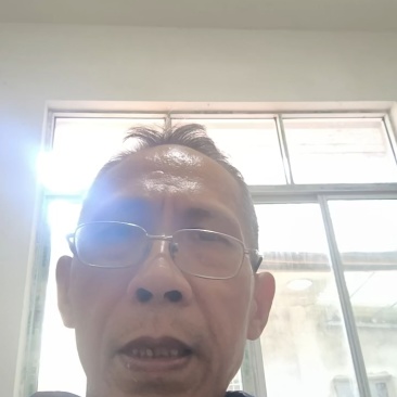 农家散养土鸽500克左右