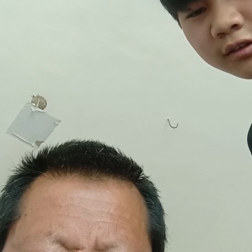 花生秧，精品，质量好，花生秧，花生秧