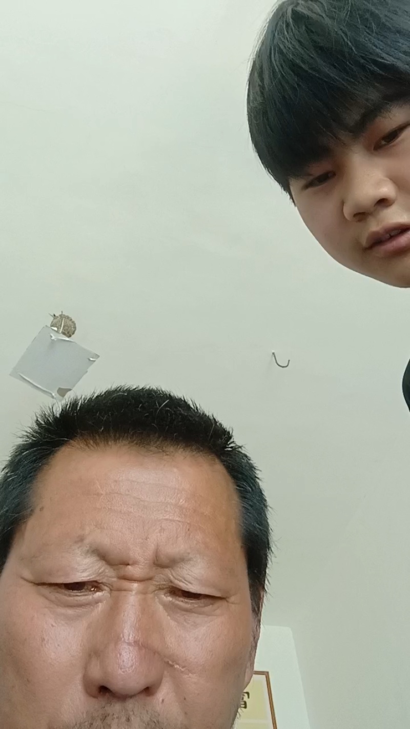 花生秧，精品，质量好，花生秧，花生秧
