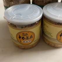 正宗焦作怀菊花批发零售