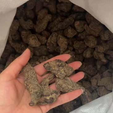 生地黄河南焦作四大怀药中药材生地黄批发零售价格优惠