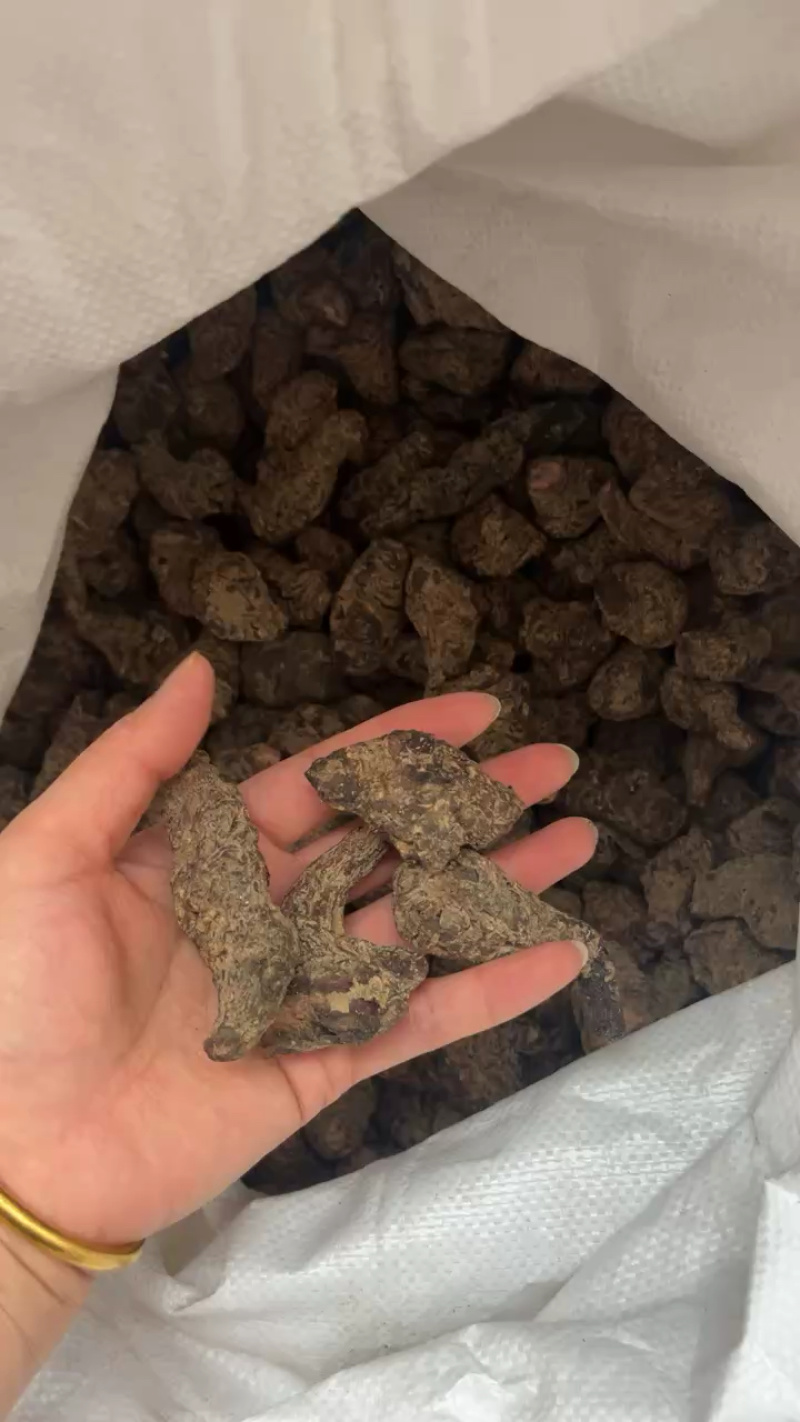 生地黄河南焦作四大怀药中药材生地黄批发零售价格优惠