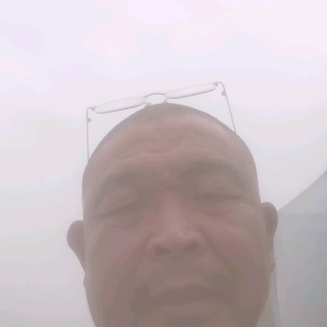 精品维多利亚葡萄，河北葡萄对接电商，平板车也可联系