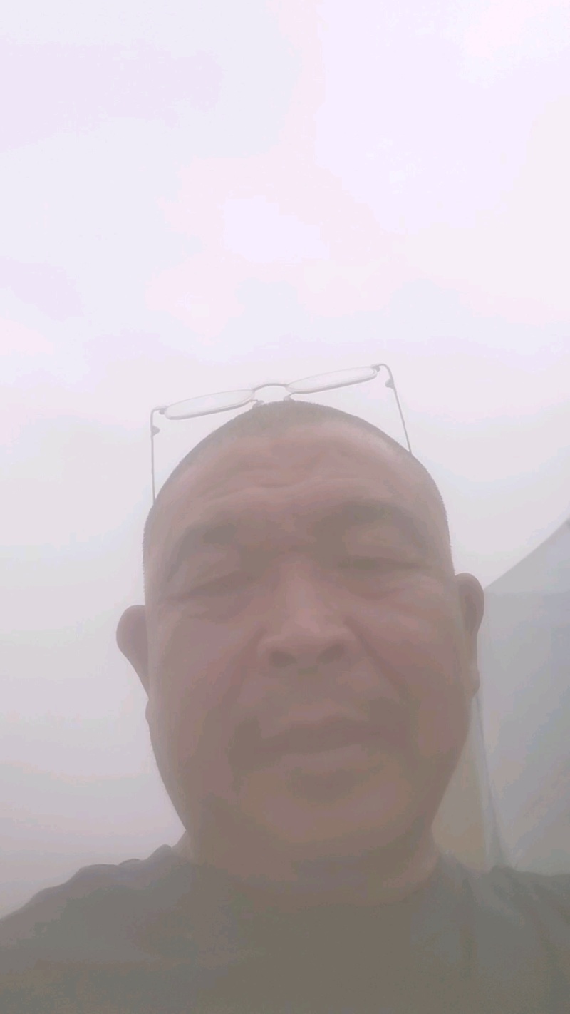 精品维多利亚葡萄，河北葡萄对接电商，平板车也可联系