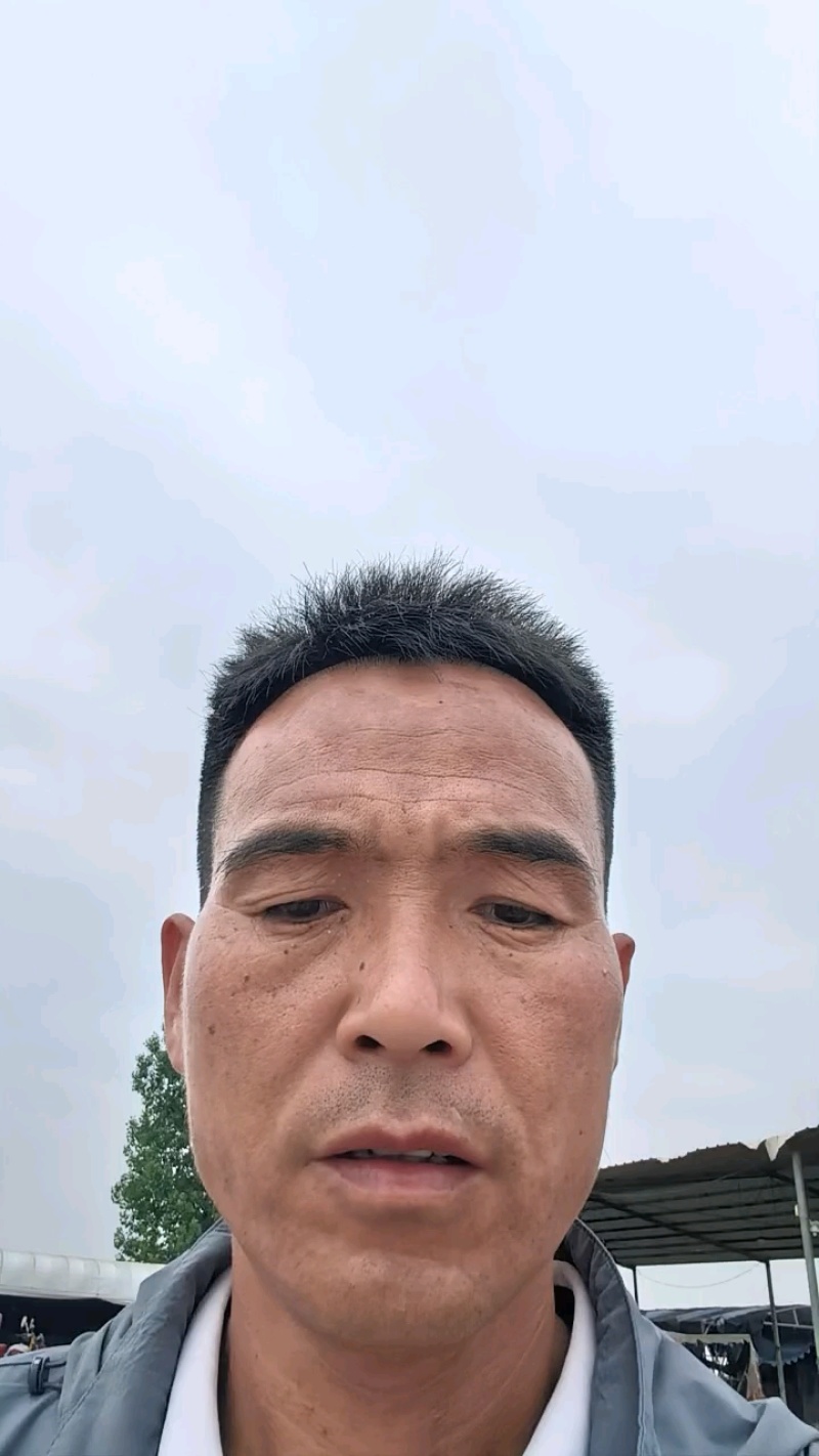 山东茄子紫光茄子紫光圆茄产地一手货源全国可发货